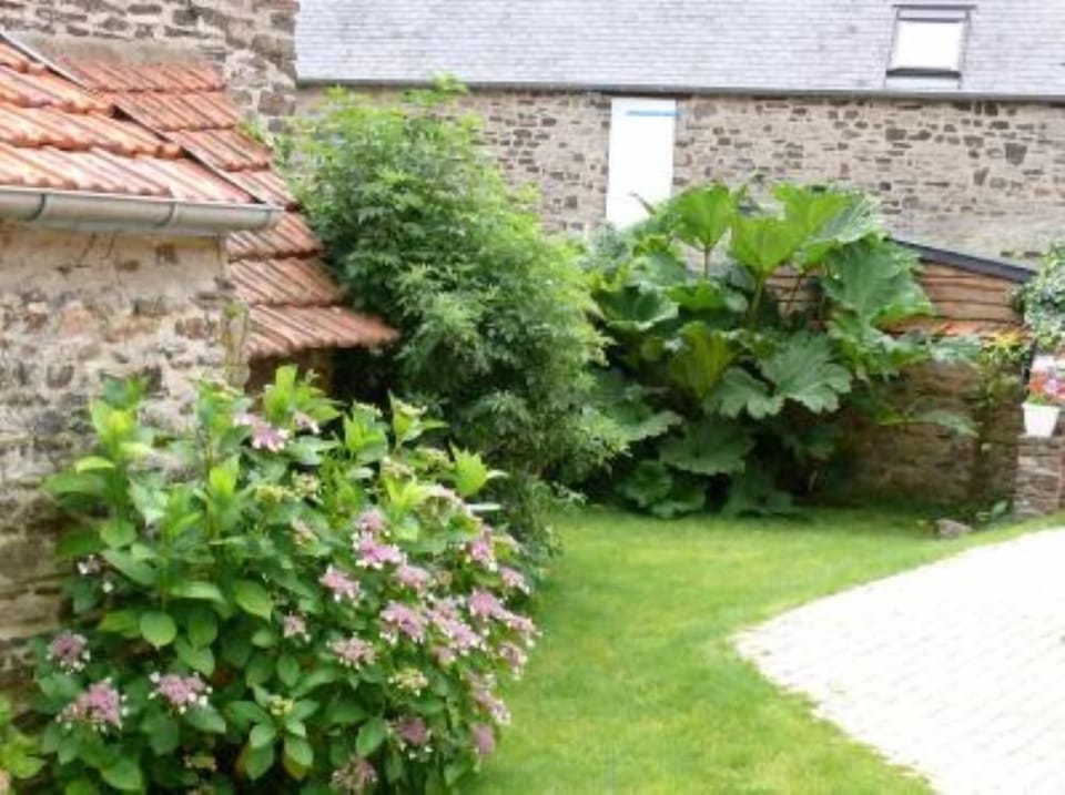 Garden, Park