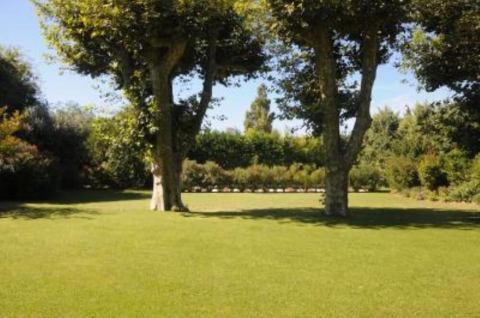 Garden, Park