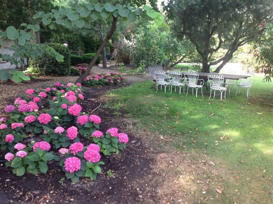 Garden, Park