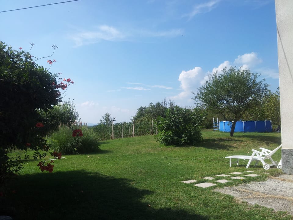 the above-ground pool