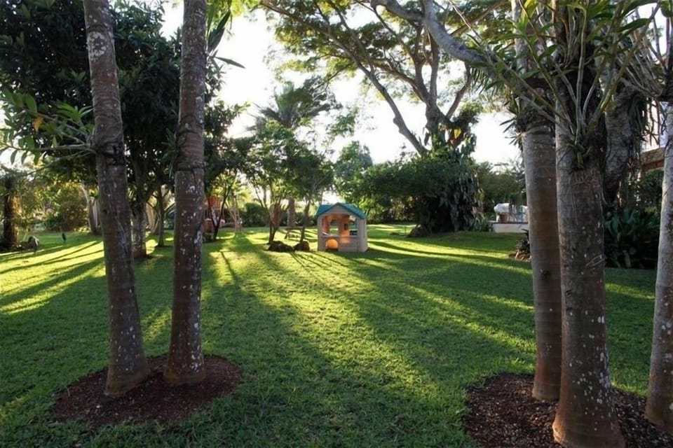 South Garden