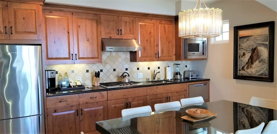 Refrigerator, cooktop,  dishwasher, blender, microwave/convection oven, +++