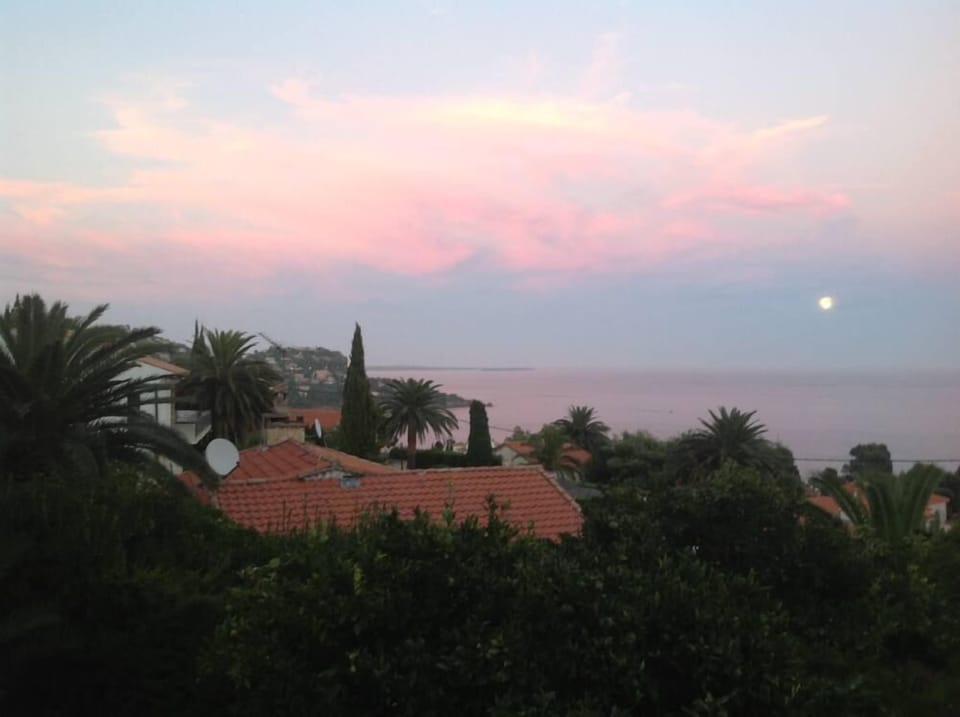 Beach/ocean view