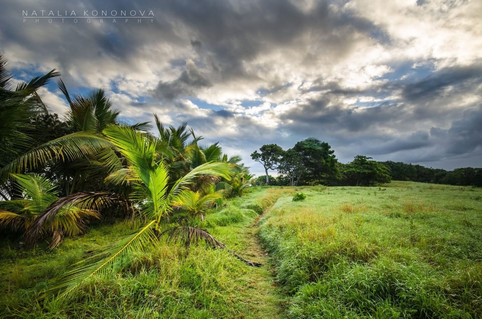 Take a walk on these lush green walking trails