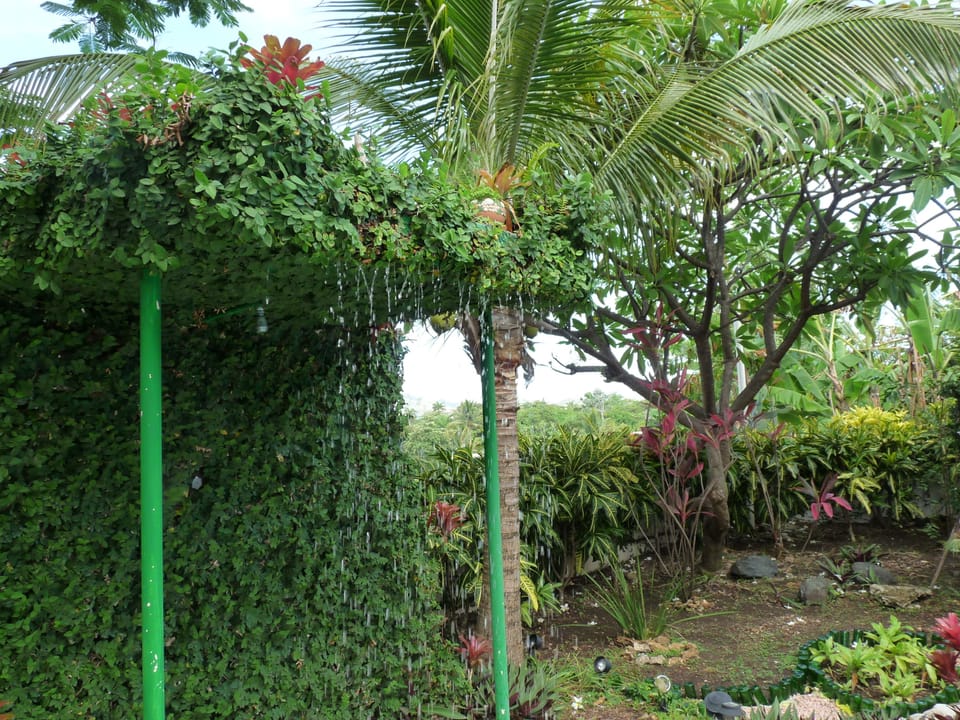 Wake up to the soothing sound of water fall every morning