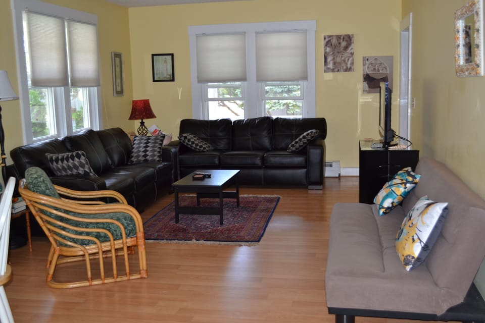 Living room with pullout queen sofa, futon and flat screen HD-TV.  