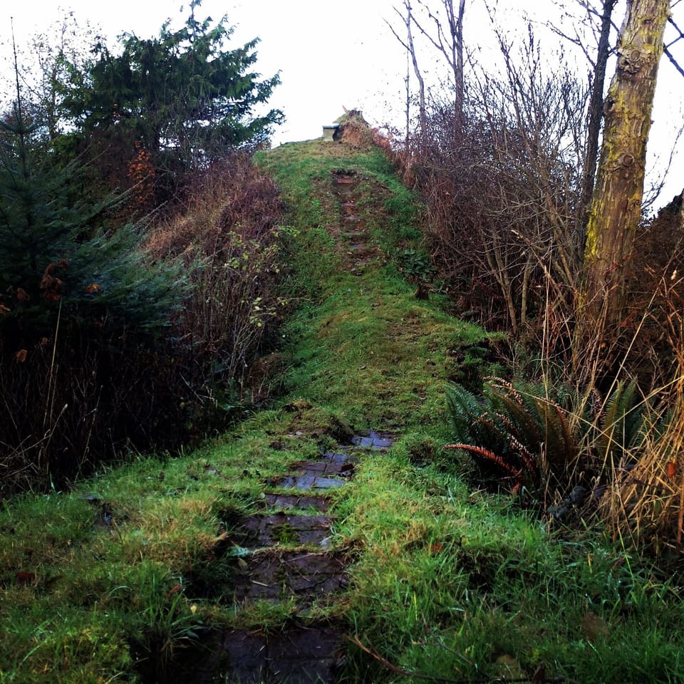 Dozens of wildlife trails on the property