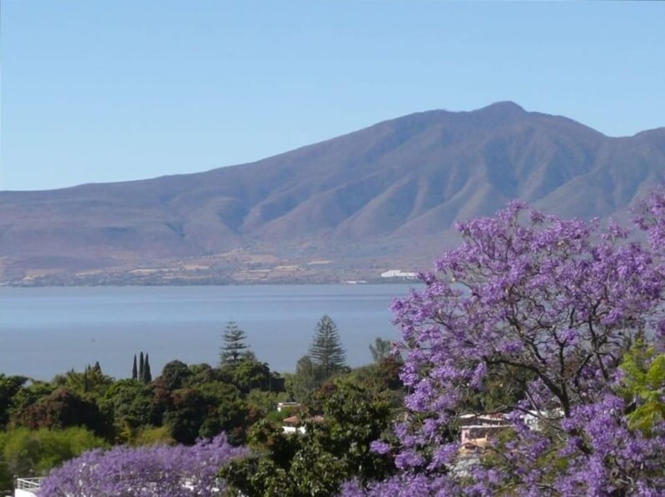 Ajijic view of Lake Chapala - IN FEBRUARY !