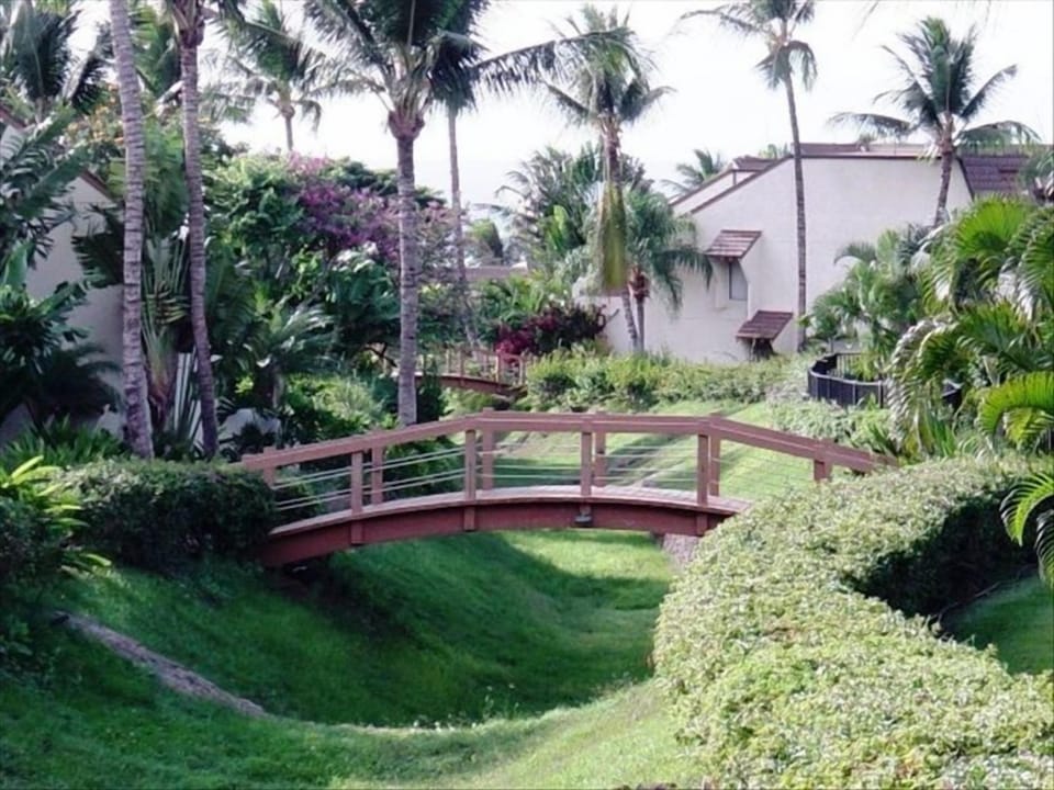 Peek-a-boo view of the ocean just beyond this footbridge