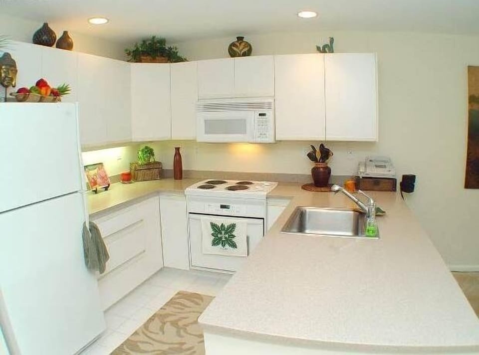 Complete kitchen: oven/stove, dishwasher, microwave, refrigerator w/icemaker