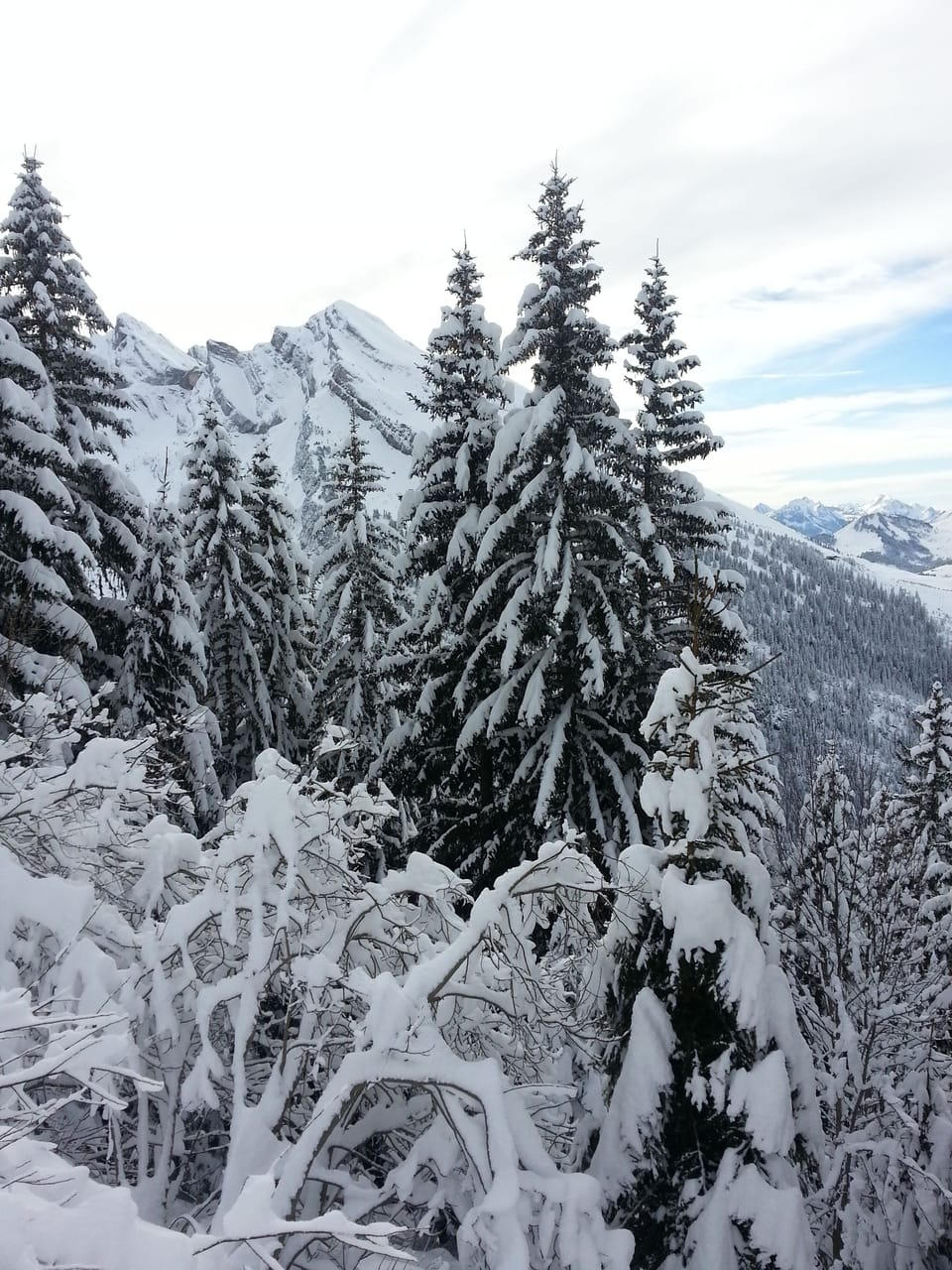 Snow and ski sports
