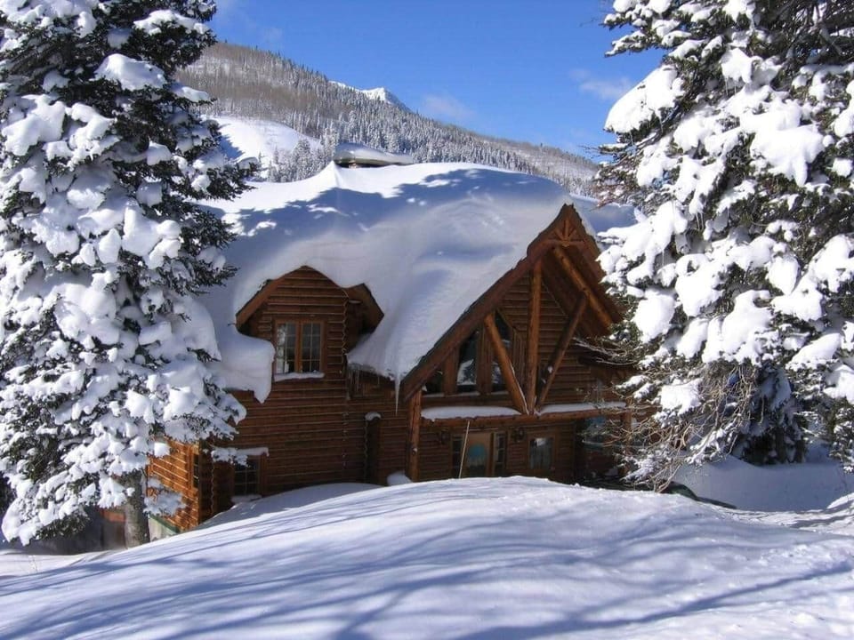 View of home mid winter from the forest in the front