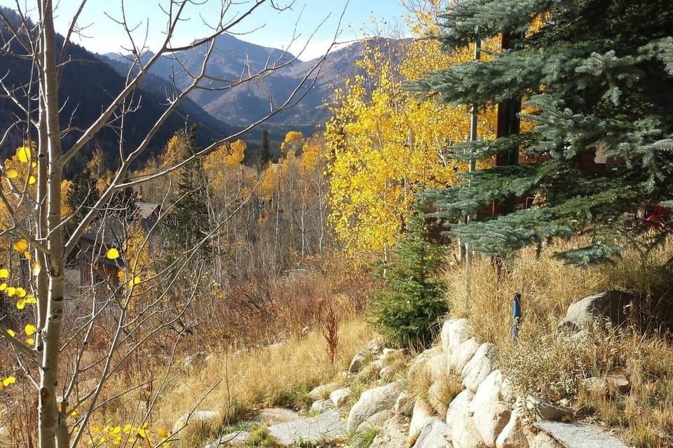 View down canyon from the back yard