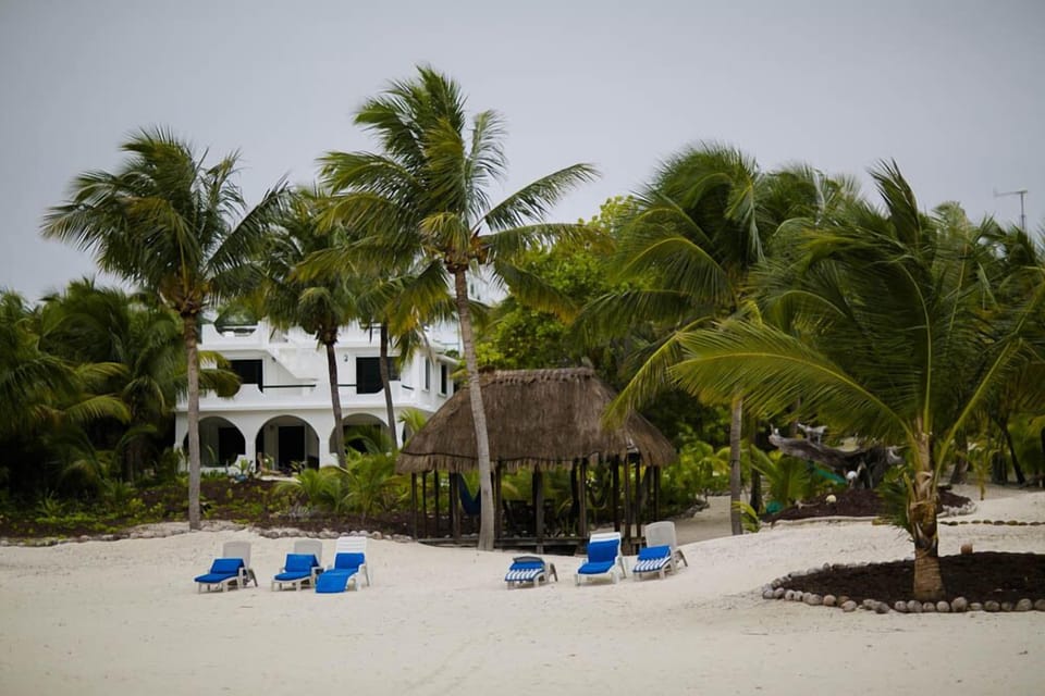 Big house and Palapa from the beach