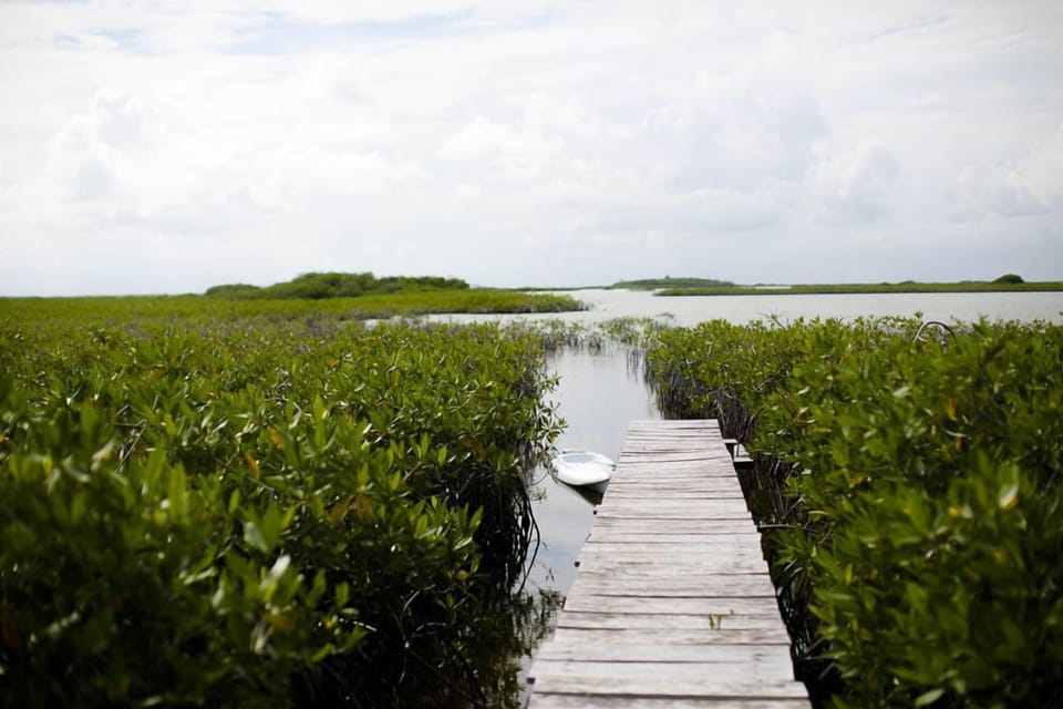 Lagoon view
