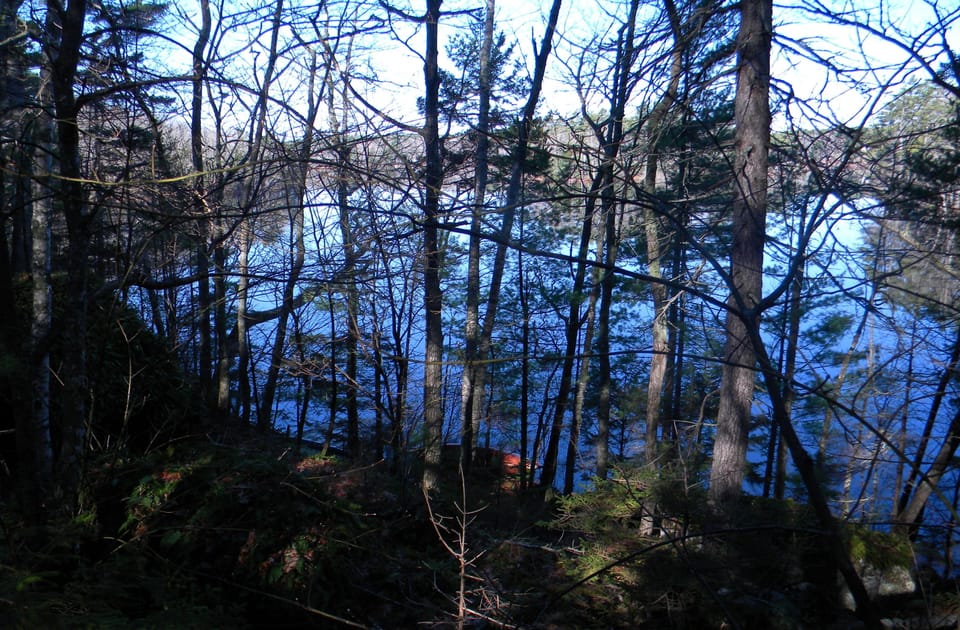 view from trail