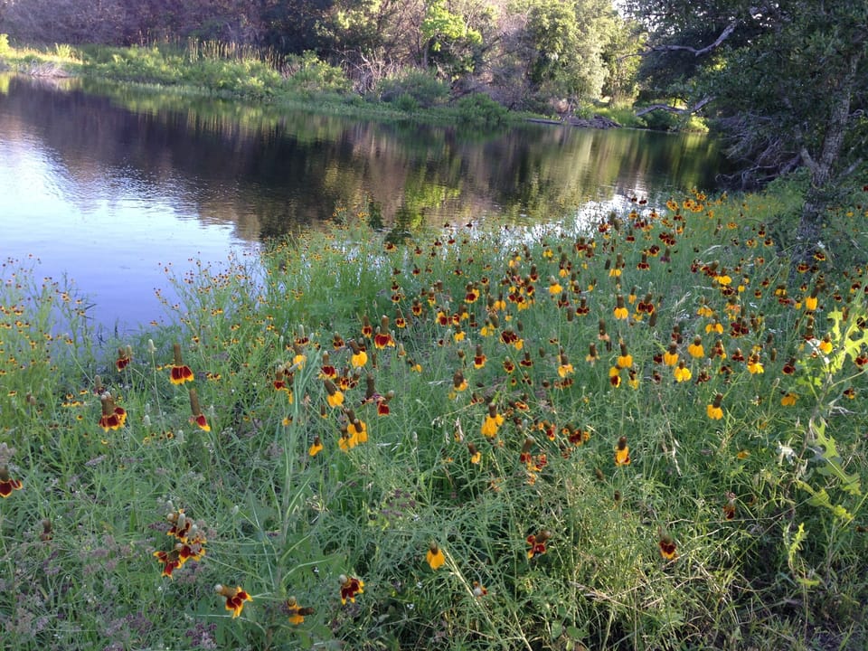 Spring-time at the pond!