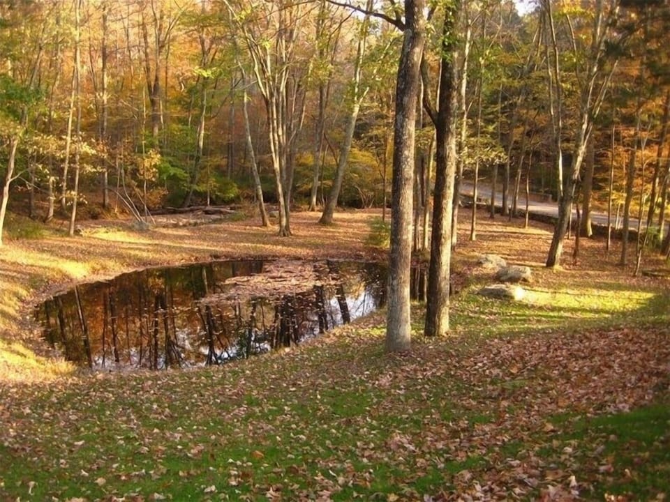 Small pond and stream on property, scenic dirt roads lead into land preserve