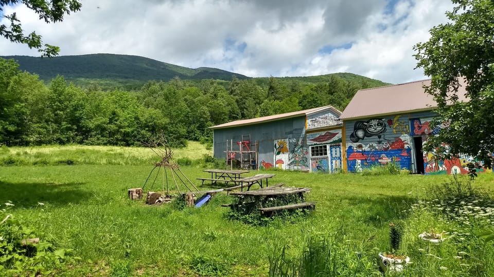 back yard