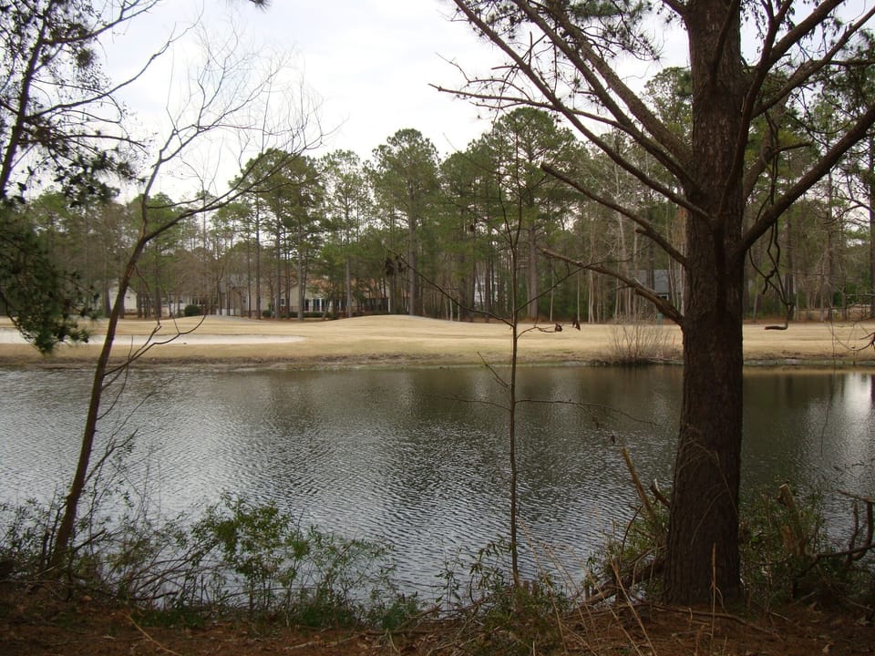 lake view from the house