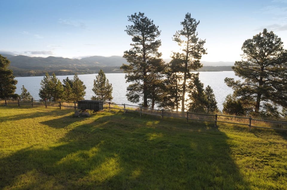 Afternoon on the front lawn.