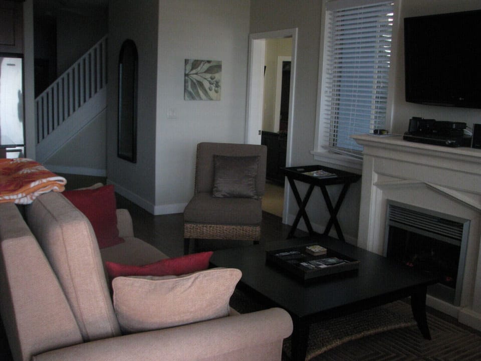 living area with fireplace and flat screen TV.
