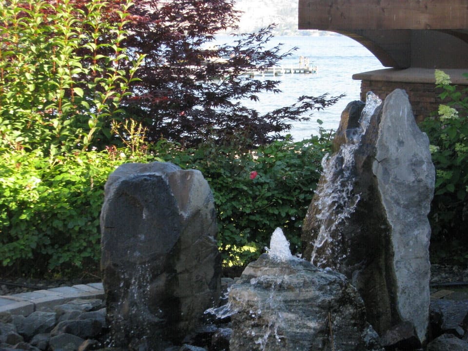 views of the garden surrounding pool