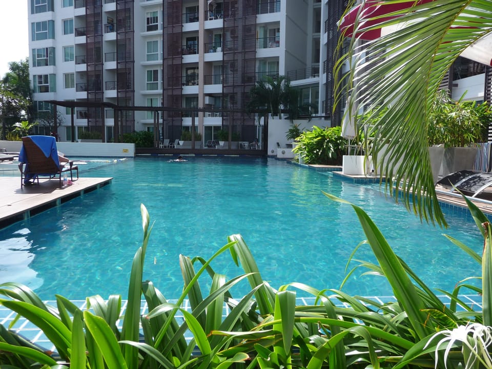 Pool 25x8 meter with jets.