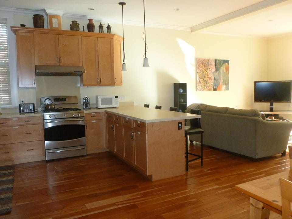 Open flowing space to living area