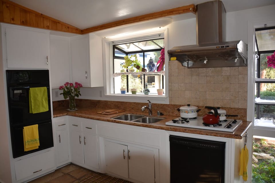 Kitchen with garden window