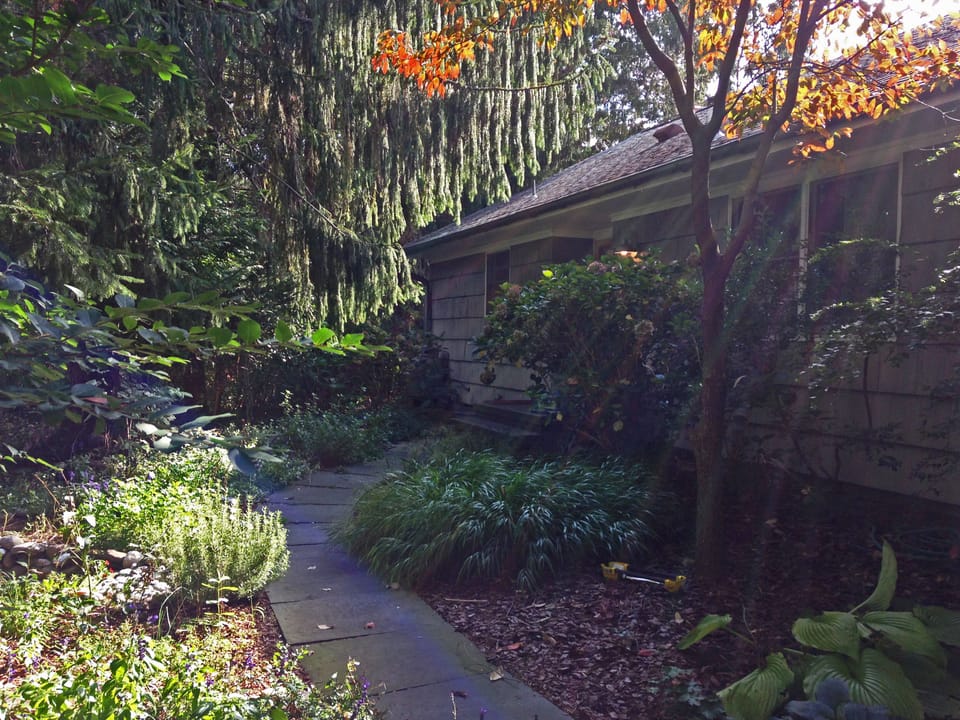 private garden entrance at end of drive through the huge spruce trees