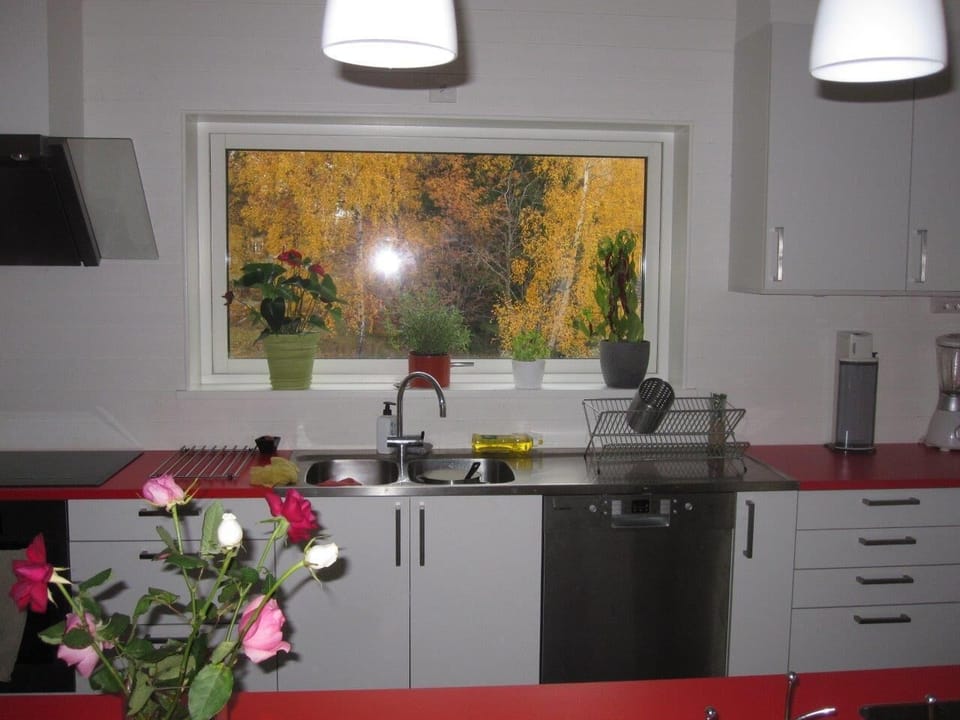 Here the changing of colors in the fall seen through one of the kitchen windows
