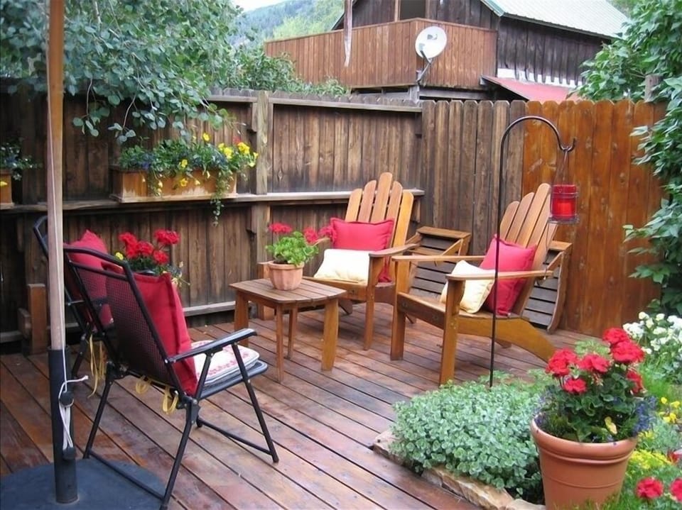 Back yard