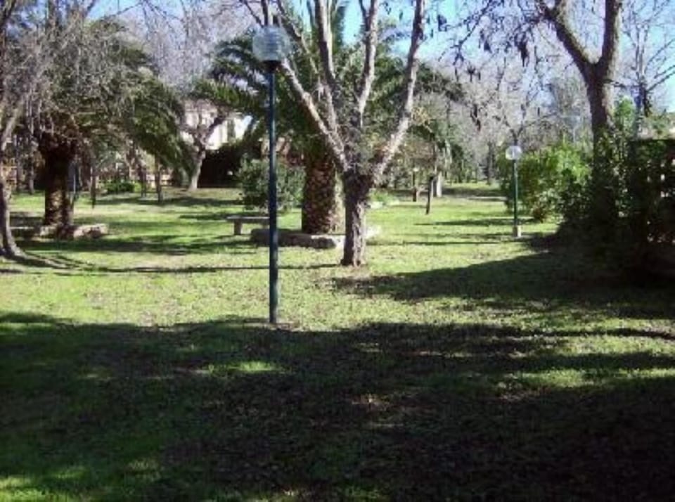 Garden, Park