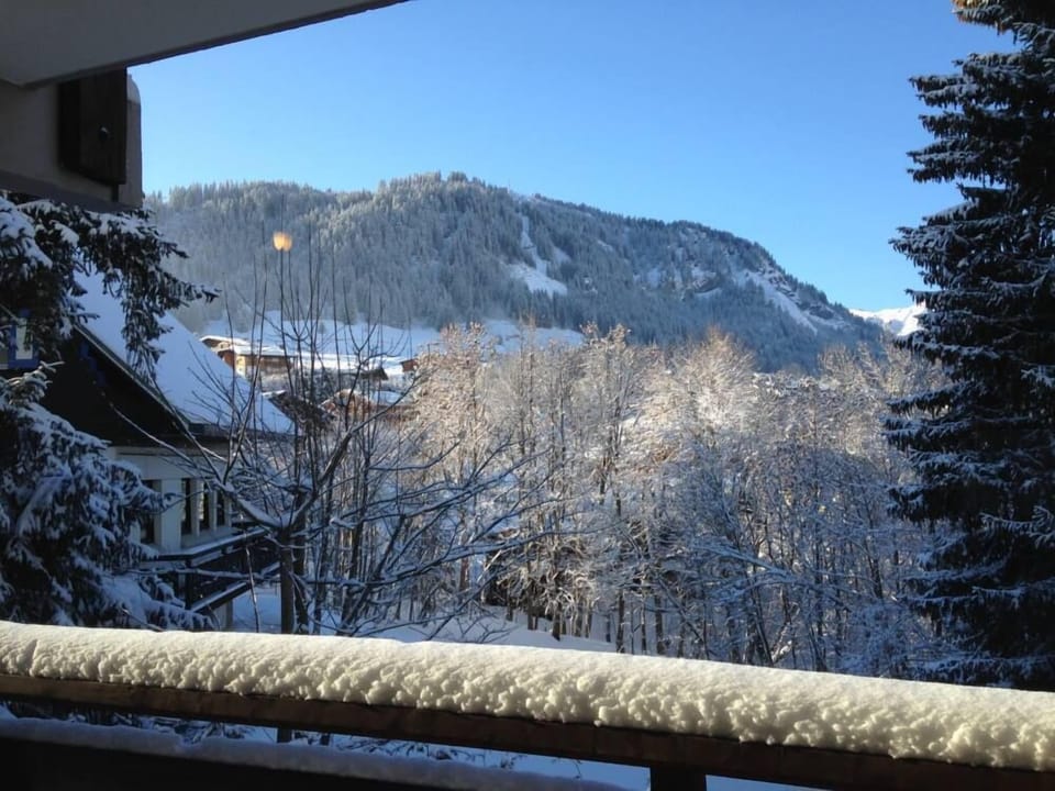 View on Rochebrune from the living room and the master bedroom (terrace).