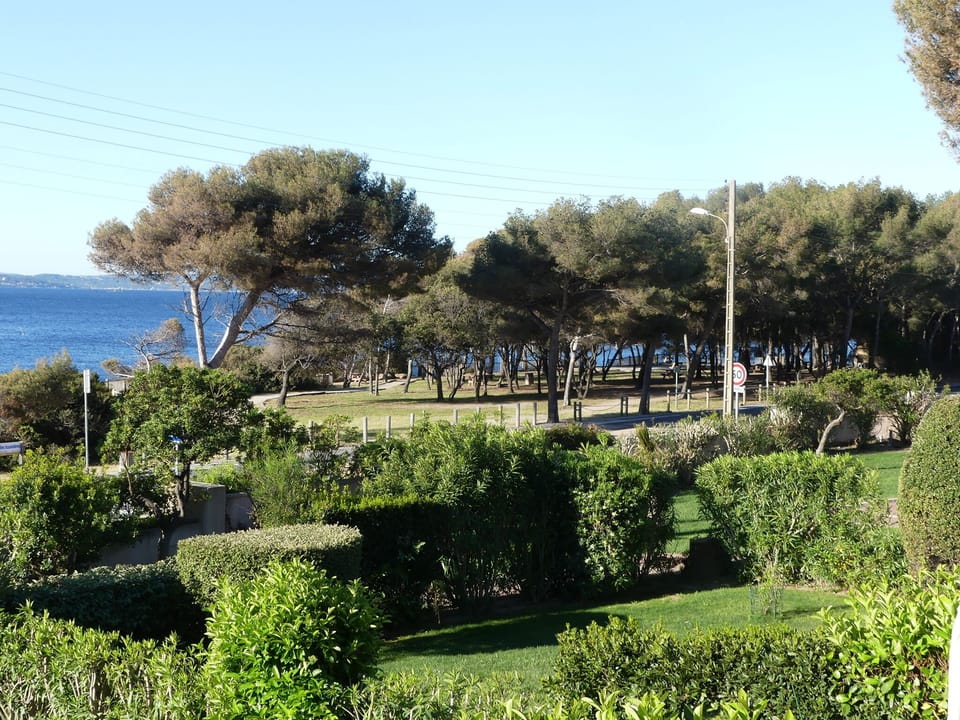Park view from balcony