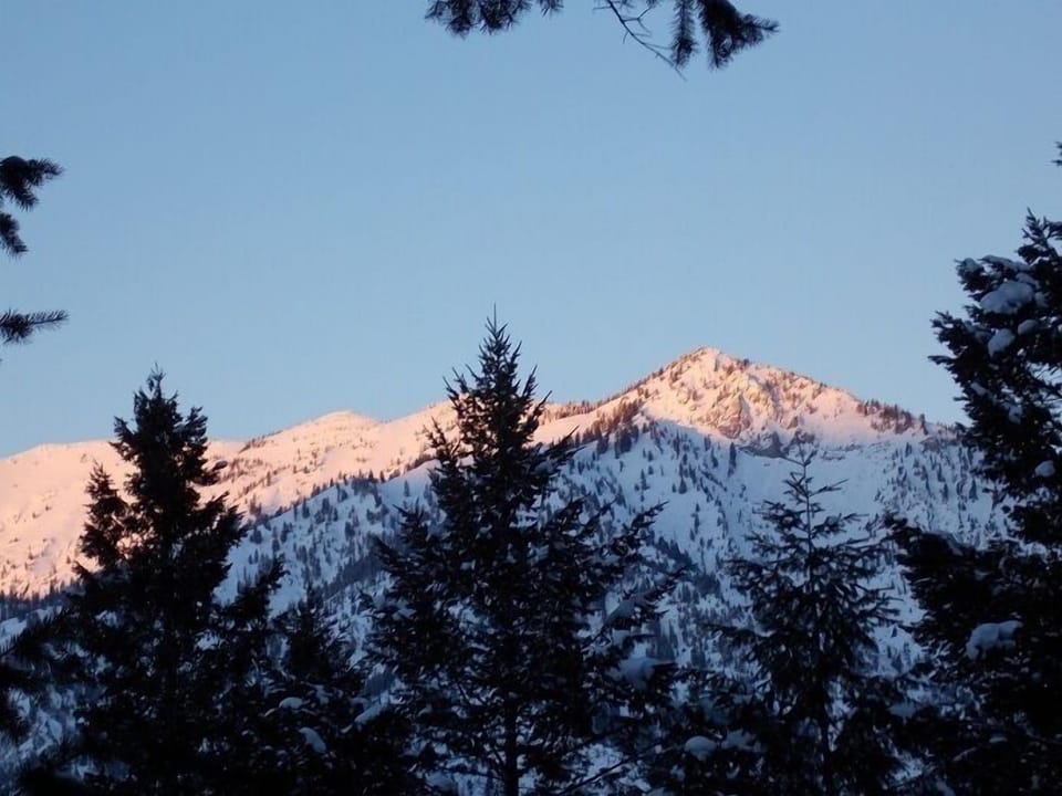 View from front deck