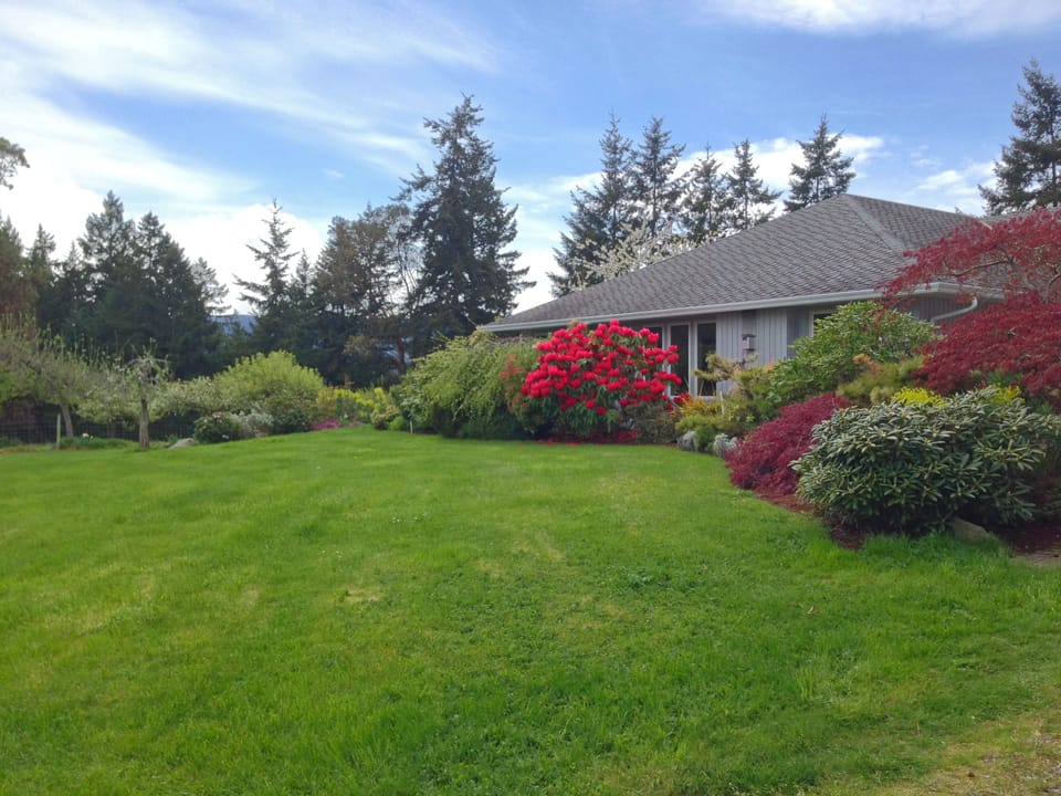 Bungalow-style house features a large backyard with a beautiful lawn and garden