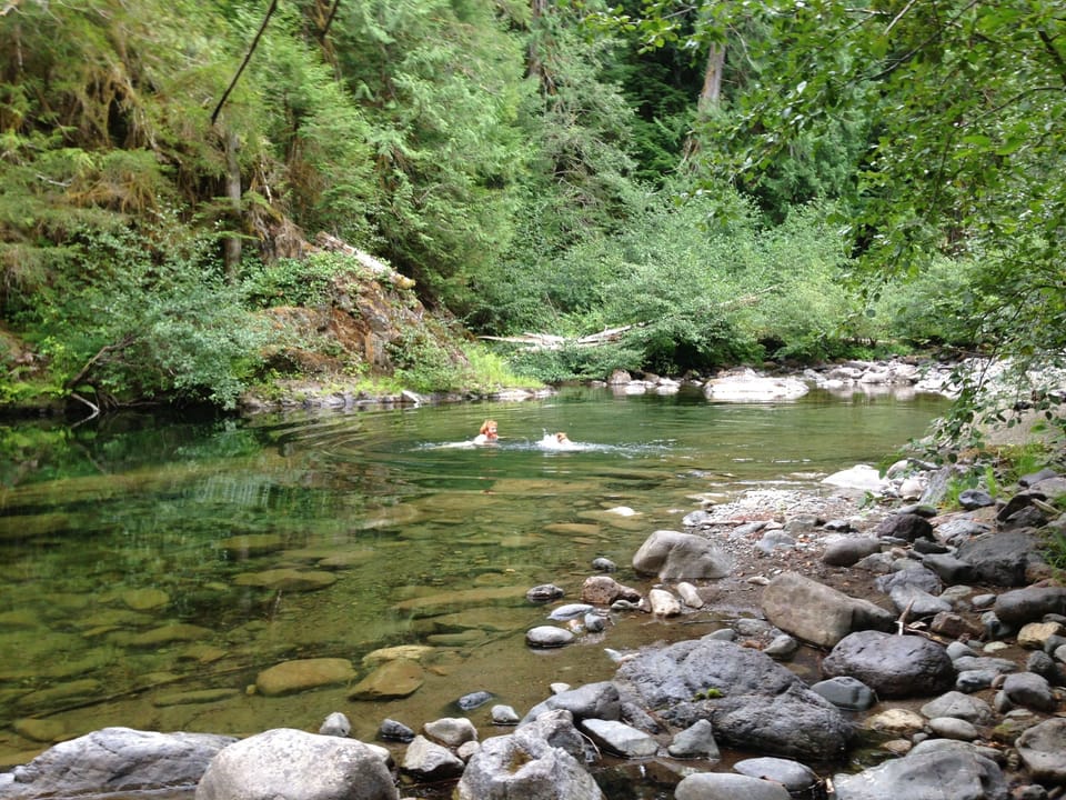 Swimming hole in the nearby Koksilah River