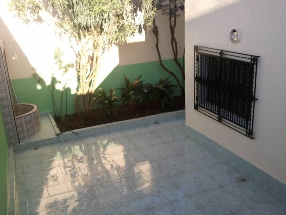 Garden, Park