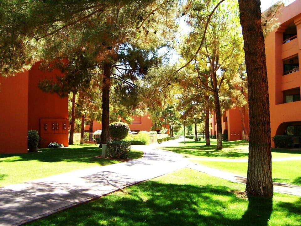 Manicaured grounds with huge pine trees