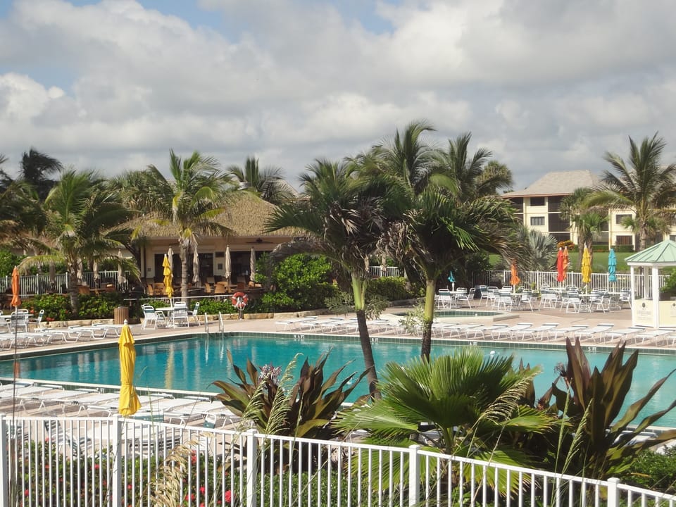 Pool area and tiki bar