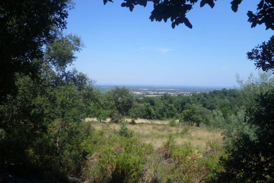 view to coast on short walk from house