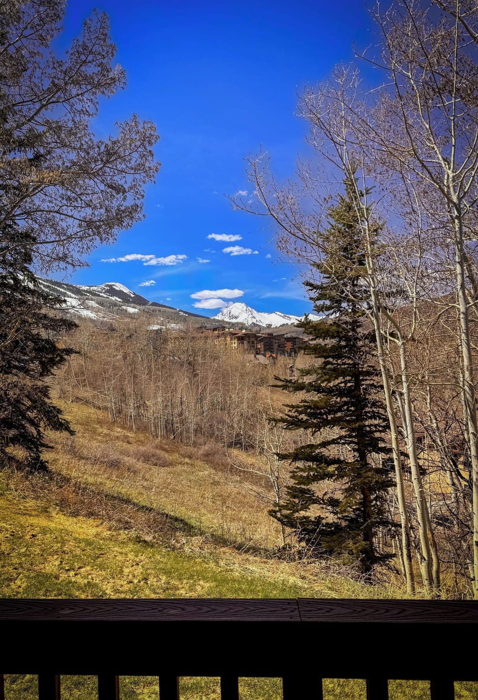 View from property