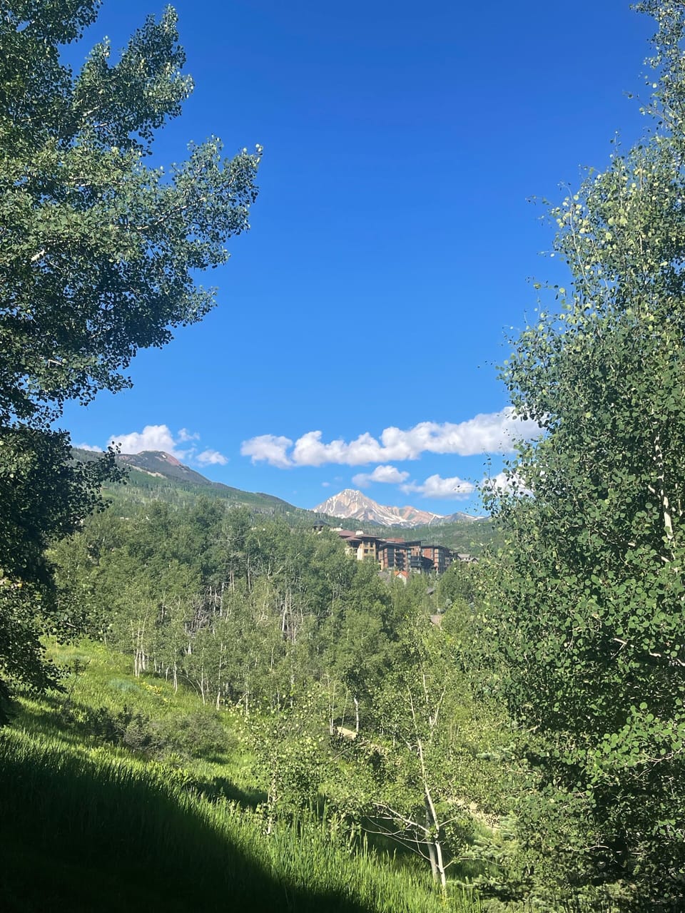 un-obstructed view of Mt. Daly!