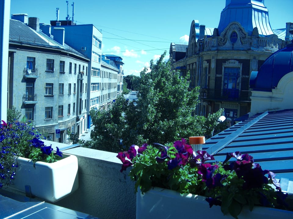 Rooftop view from terrace. Art Nouveau houses and wooden houses in old town.