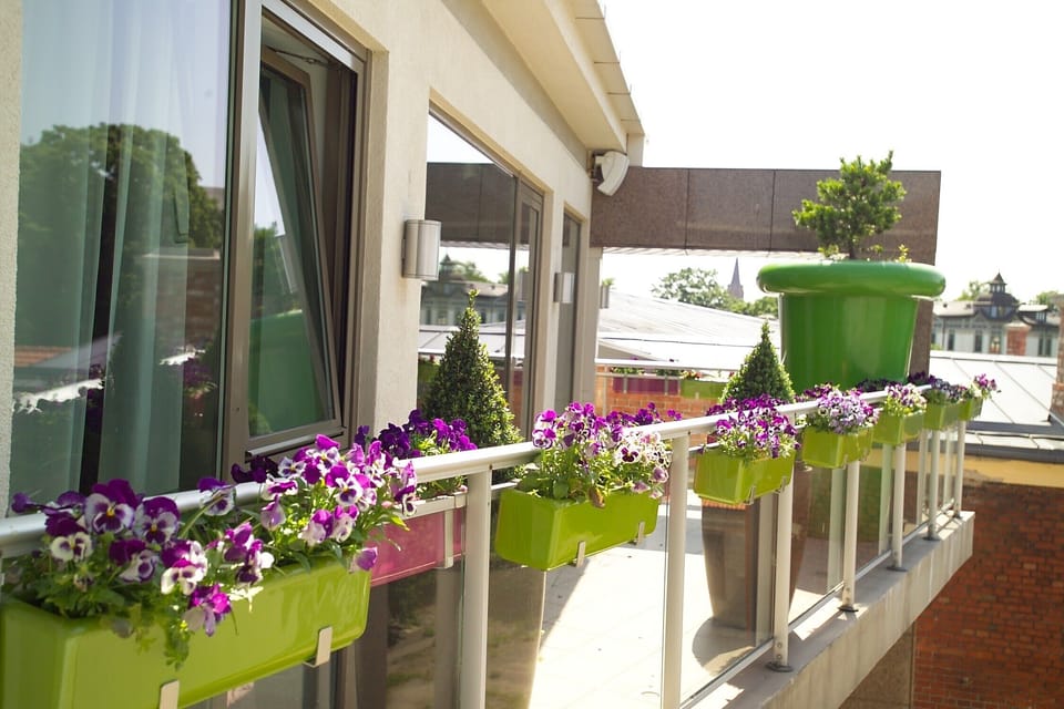 West side terrace, ideal for eating breakfast or catching the morning sun!