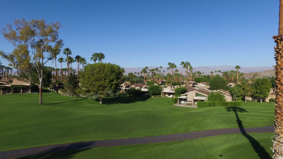 This is the actual view from the patio! ( Not a file photo!)