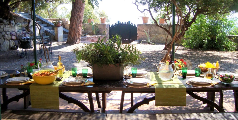 Tasty summer lunch in the south garden!