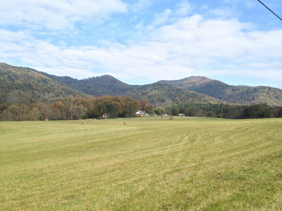 View of farm from Reems Creek Road. 